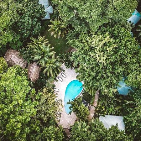 Copal Tree Lodge A Muy'Ono Resort Toledo District Bagian luar foto
