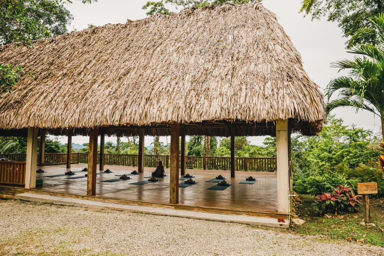 Copal Tree Lodge A Muy'Ono Resort Toledo District Bagian luar foto