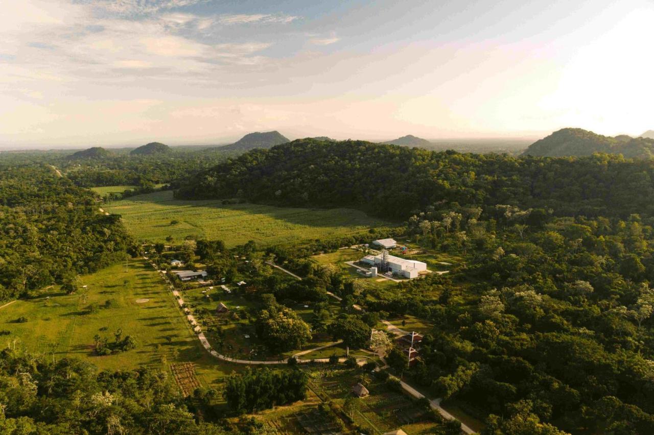 Copal Tree Lodge A Muy'Ono Resort Toledo District Bagian luar foto