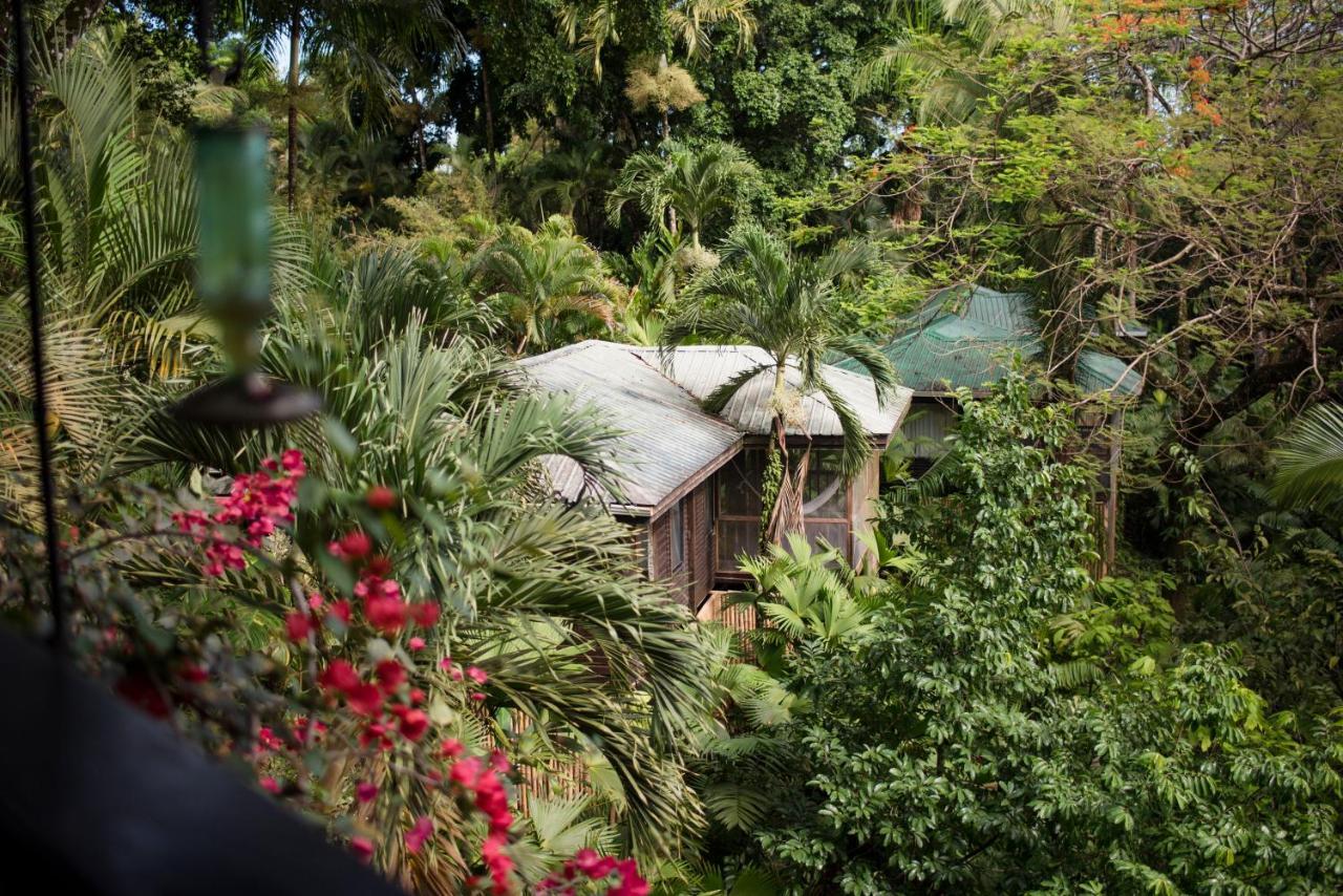 Copal Tree Lodge A Muy'Ono Resort Toledo District Bagian luar foto