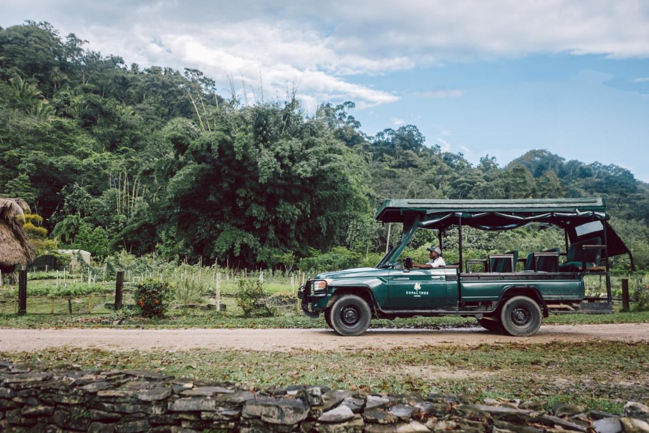 Copal Tree Lodge A Muy'Ono Resort Toledo District Bagian luar foto