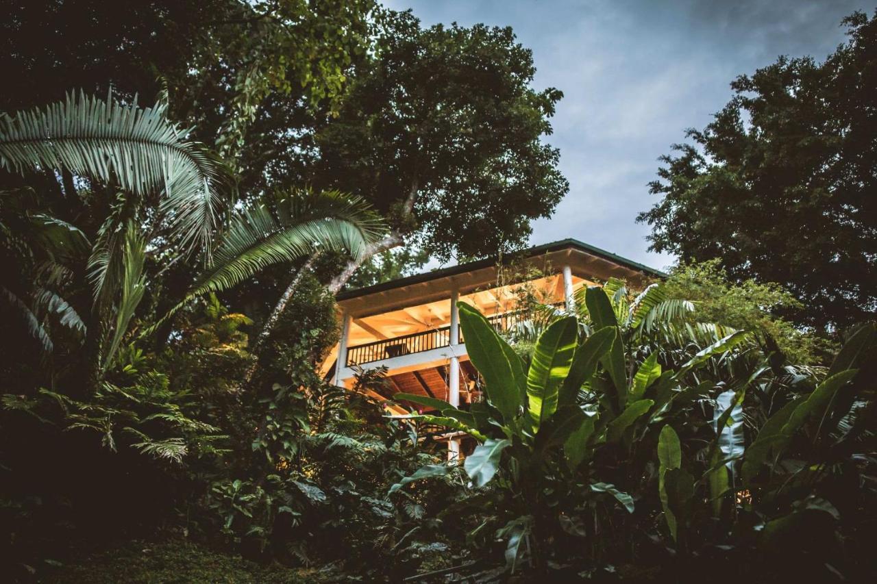 Copal Tree Lodge A Muy'Ono Resort Toledo District Bagian luar foto